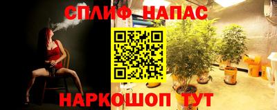 PSILOCYBIN Шебекино