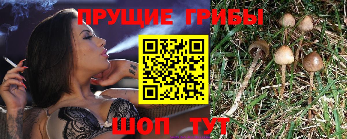 Галлюциногенные грибы прущие грибы Кудымкар