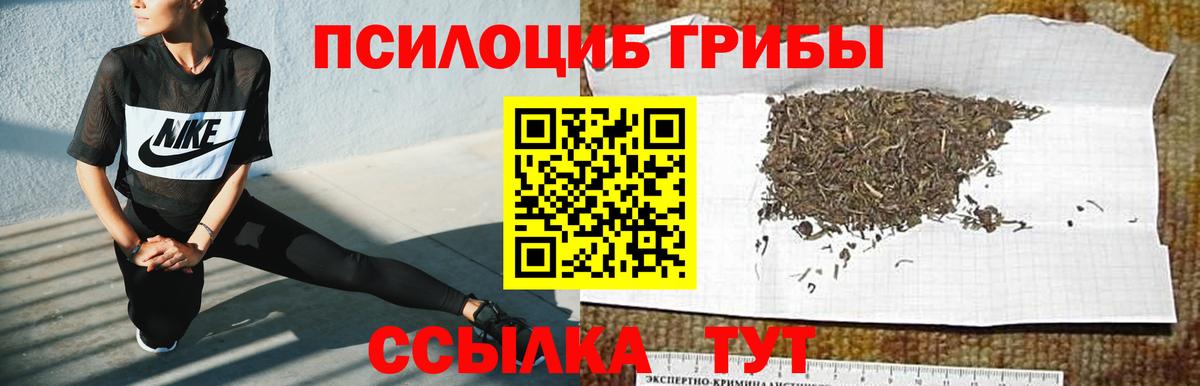 Кудымкар  Псилоцибиновые грибы GOLDEN TEACHER  Вход с VPN 